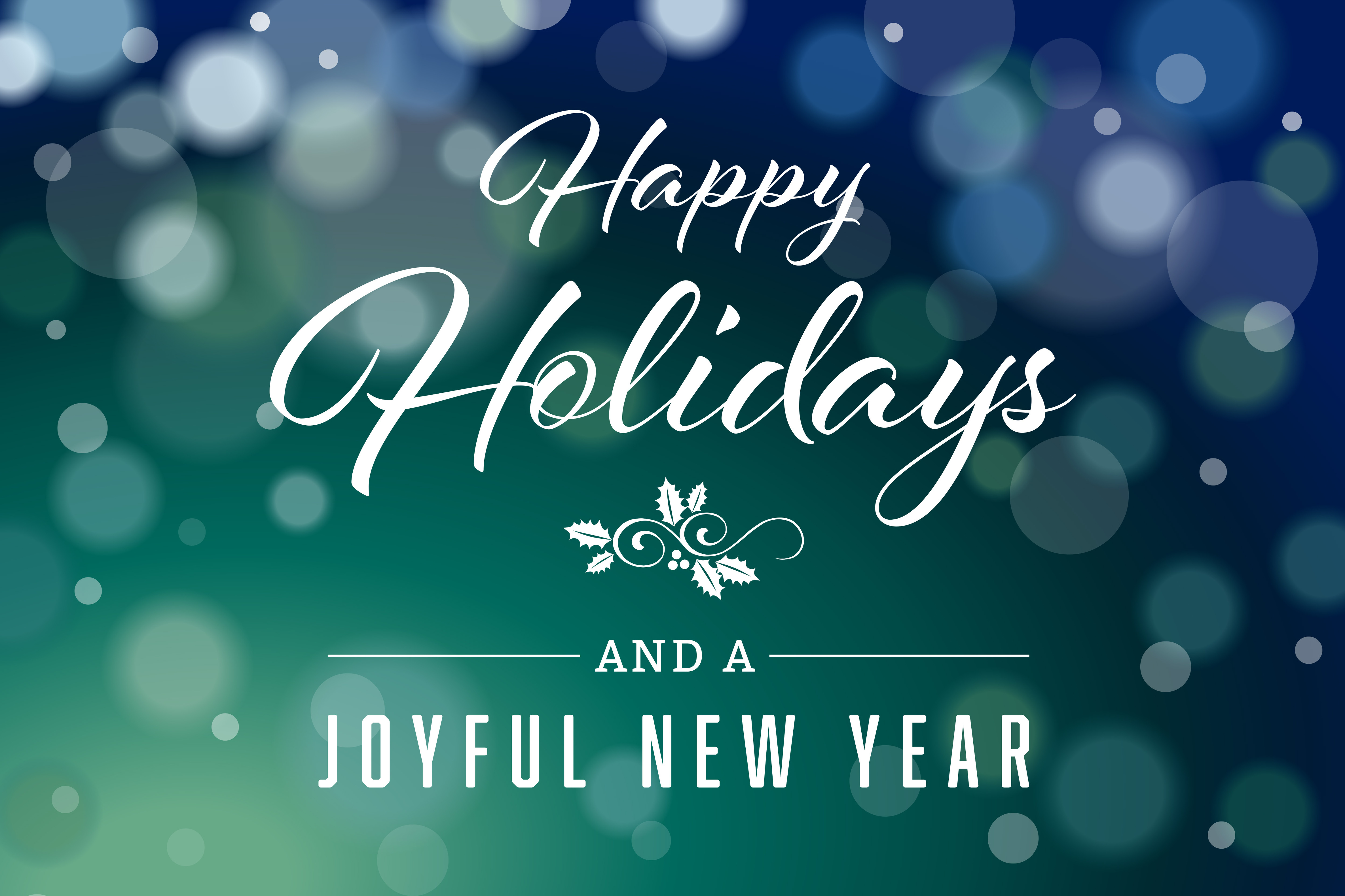 Happy Holidays and a Happy New Year!